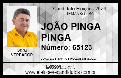 Candidato JOÃO PINGA PINGA 2024 - REMANSO - Eleições