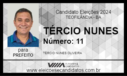 Candidato TÉRCIO NUNES 2024 - TEOFILÂNDIA - Eleições