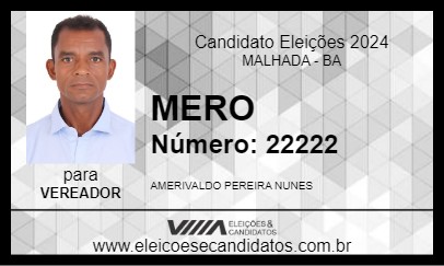 Candidato MERO 2024 - MALHADA - Eleições