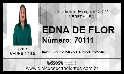 Candidato EDNA DE FLOR 2024 - VEREDA - Eleições