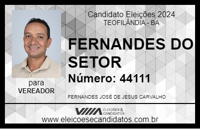 Candidato FERNANDES DO SETOR 2024 - TEOFILÂNDIA - Eleições