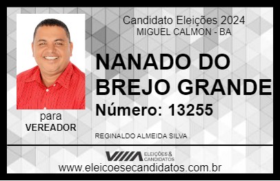 Candidato NANADO DO BREJO GRANDE 2024 - MIGUEL CALMON - Eleições