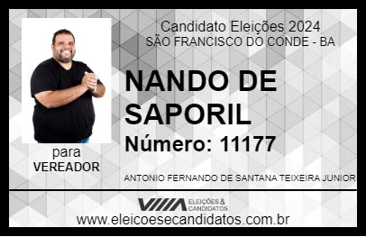 Candidato NANDO DE SAPORIL 2024 - SÃO FRANCISCO DO CONDE - Eleições