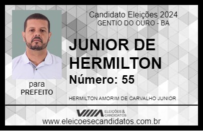 Candidato JUNIOR DE HERMILTON 2024 - GENTIO DO OURO - Eleições