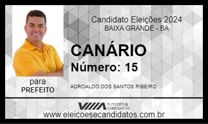 Candidato CANÁRIO 2024 - BAIXA GRANDE - Eleições