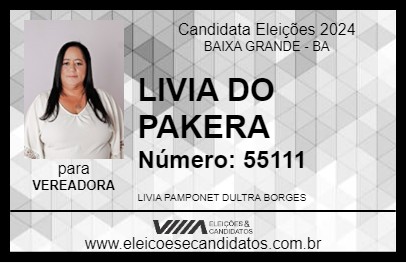 Candidato LIVIA DO PAKERA 2024 - BAIXA GRANDE - Eleições