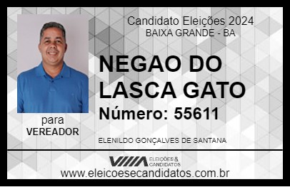 Candidato NEGAO DO LASCA GATO 2024 - BAIXA GRANDE - Eleições