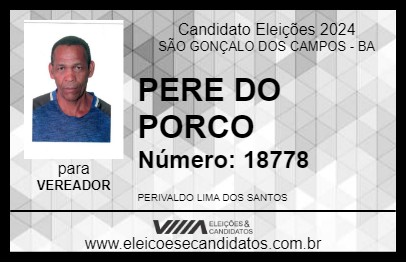 Candidato PERE DO PORCO 2024 - SÃO GONÇALO DOS CAMPOS - Eleições