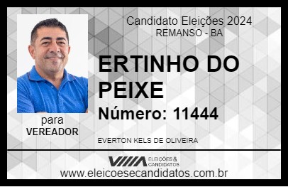 Candidato ERTINHO DO PEIXE 2024 - REMANSO - Eleições