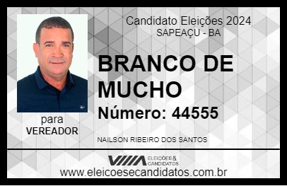 Candidato BRANCO DE MUCHO 2024 - SAPEAÇU - Eleições