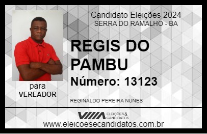 Candidato REGIS DO PAMBU 2024 - SERRA DO RAMALHO - Eleições