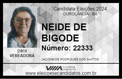 Candidato NEIDE DE BIGODE 2024 - OUROLÂNDIA - Eleições