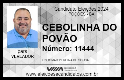 Candidato CEBOLINHA DO POVÃO 2024 - POÇÕES - Eleições