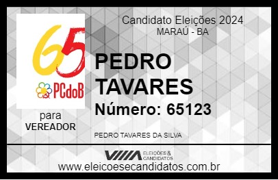 Candidato PEDRO TAVARES 2024 - MARAÚ - Eleições