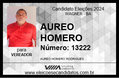 Candidato AUREO HOMERO 2024 - WAGNER - Eleições