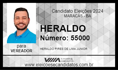 Candidato HERALDO JUNIOR 2024 - MARACÁS - Eleições