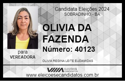 Candidato OLIVIA DA FAZENDA 2024 - SOBRADINHO - Eleições