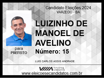 Candidato LUIZINHO DE MANOEL DE AVELINO 2024 - VARZEDO - Eleições