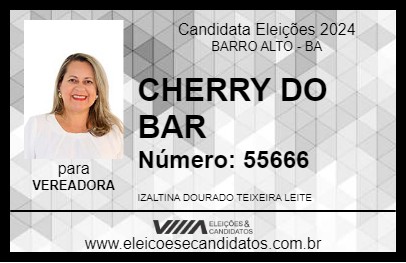 Candidato CHERRY DO BAR 2024 - BARRO ALTO - Eleições