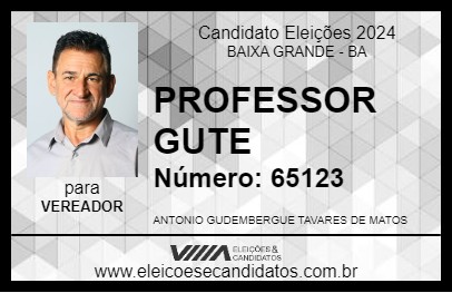 Candidato PROFESSOR GUTE 2024 - BAIXA GRANDE - Eleições