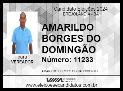 Candidato AMARILDO BORGES DO DOMINGÃO 2024 - BREJOLÂNDIA - Eleições