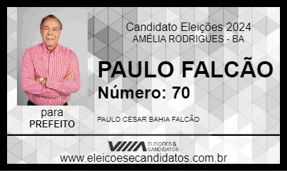 Candidato PAULO FALCÃO 2024 - AMÉLIA RODRIGUES - Eleições