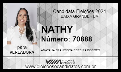 Candidato NATHY 2024 - BAIXA GRANDE - Eleições