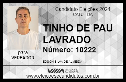 Candidato TINHO DE PAU LAVRADO 2024 - CATU - Eleições