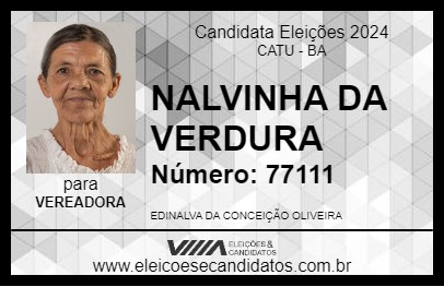 Candidato NALVINHA DA VERDURA 2024 - CATU - Eleições