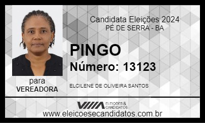 Candidato PINGO 2024 - PÉ DE SERRA - Eleições