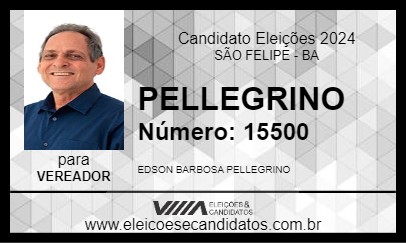 Candidato PELLEGRINO 2024 - SÃO FELIPE - Eleições