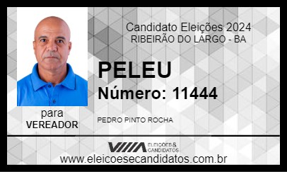 Candidato PELEU 2024 - RIBEIRÃO DO LARGO - Eleições