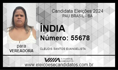 Candidato ÍNDIA 2024 - PAU BRASIL - Eleições