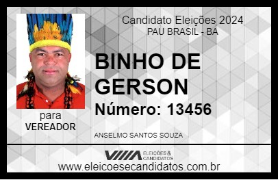 Candidato BINHO DE GERSON 2024 - PAU BRASIL - Eleições