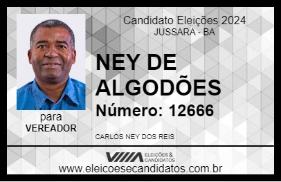 Candidato NEY DE ALGODÕES 2024 - JUSSARA - Eleições