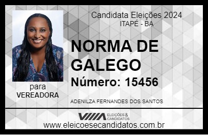 Candidato NORMA DE GALEGO 2024 - ITAPÉ - Eleições