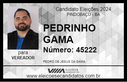 Candidato PEDRINHO GAMA 2024 - PINDOBAÇU - Eleições