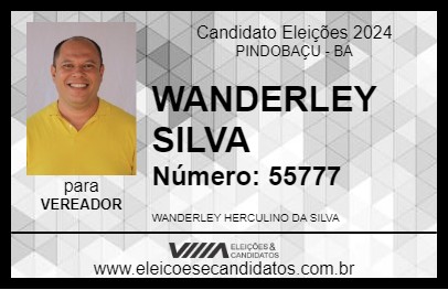 Candidato WANDERLEY SILVA 2024 - PINDOBAÇU - Eleições