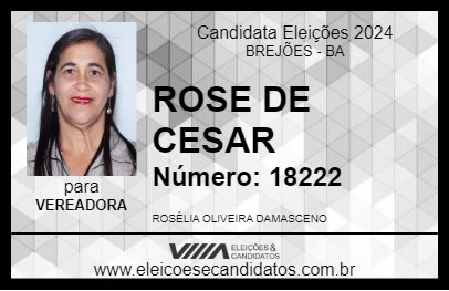 Candidato ROSE DE CESAR 2024 - BREJÕES - Eleições