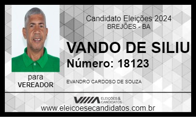 Candidato VANDO DE SILIU 2024 - BREJÕES - Eleições