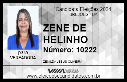 Candidato ZENE DE HELINHO 2024 - BREJÕES - Eleições