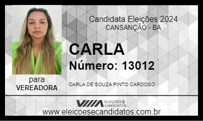 Candidato CARLA 2024 - CANSANÇÃO - Eleições