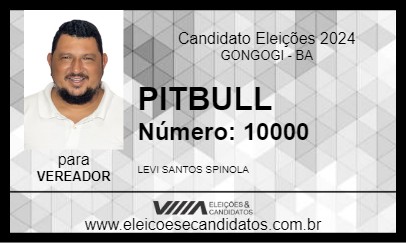 Candidato PITBULL 2024 - GONGOGI - Eleições