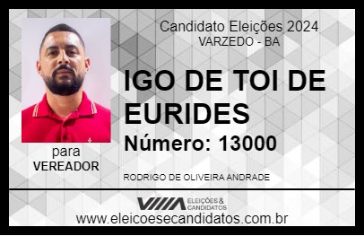 Candidato IGO DE TOI DE EURIDES 2024 - VARZEDO - Eleições