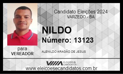 Candidato NILDO 2024 - VARZEDO - Eleições