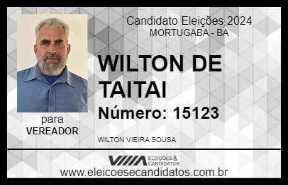 Candidato WILTON DE TAITAI 2024 - MORTUGABA - Eleições