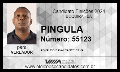 Candidato PINGULA 2024 - BOQUIRA - Eleições