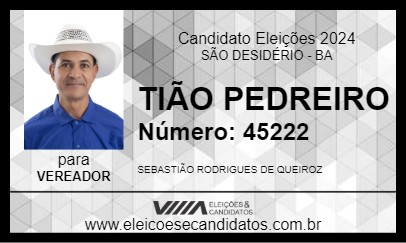 Candidato TIÃO PEDREIRO 2024 - SÃO DESIDÉRIO - Eleições