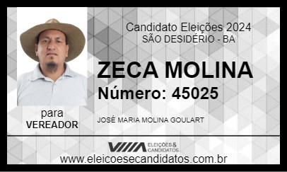 Candidato ZECA MOLINA 2024 - SÃO DESIDÉRIO - Eleições