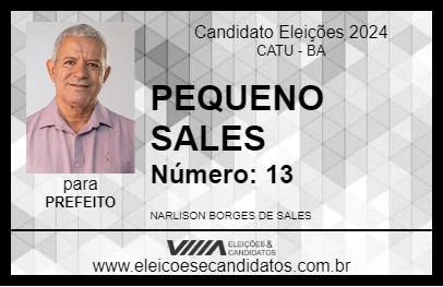 Candidato PEQUENO SALES 2024 - CATU - Eleições